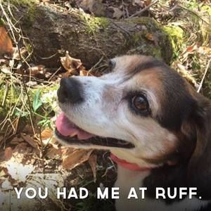 Meet your Posher, Davina